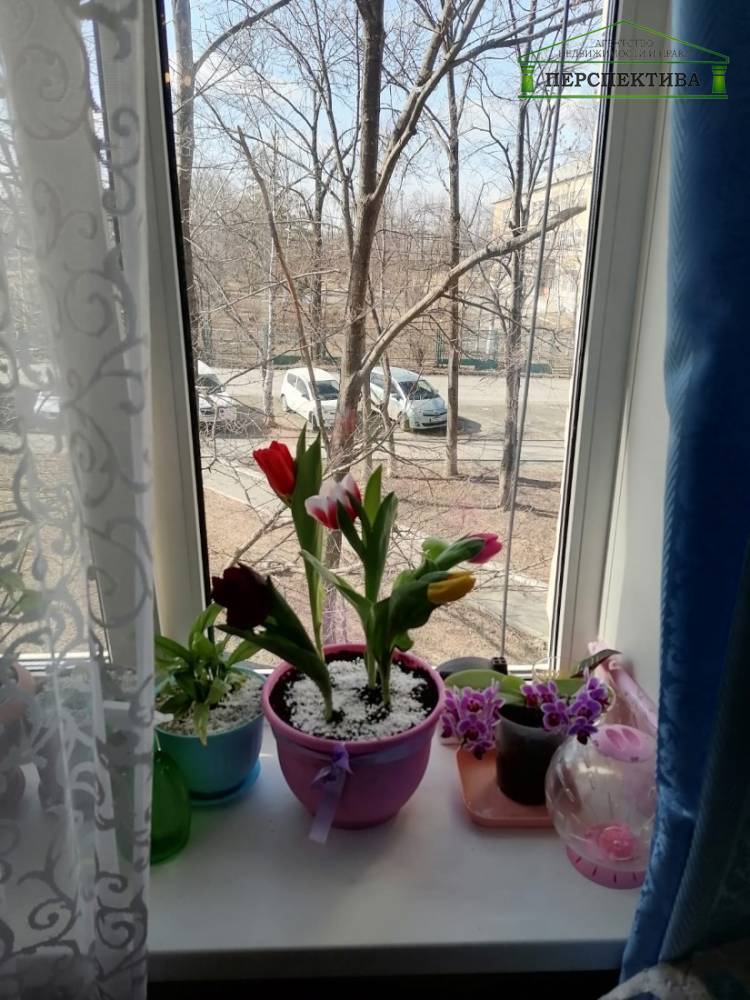 Вид из окна